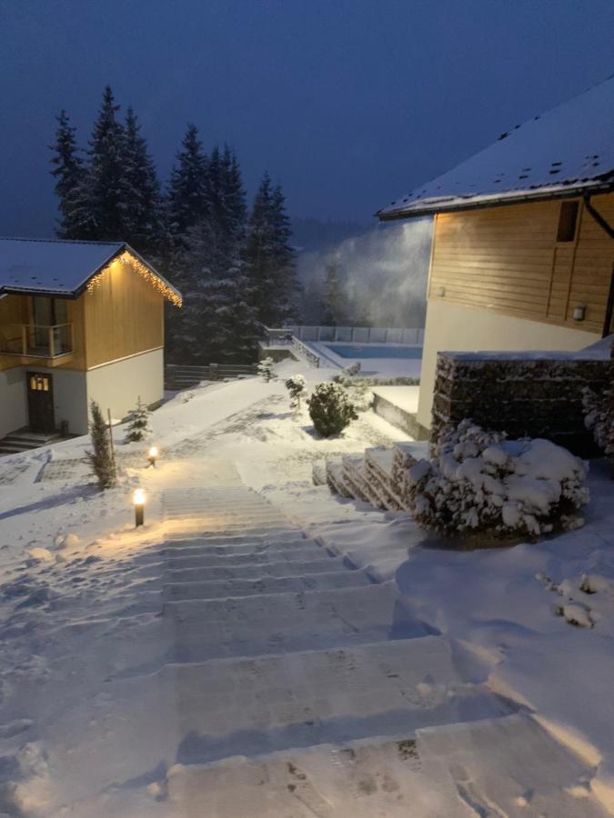 Gogodz Chalet Resort Yablunytsya Exterior photo